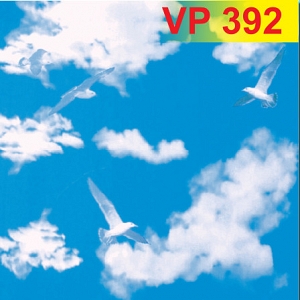 vp-392-144