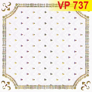 vp-737-179