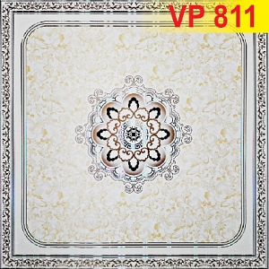 vp-811-202