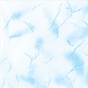 vp-b001-82