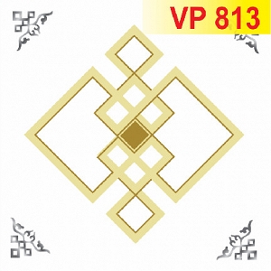 vp-813-204
